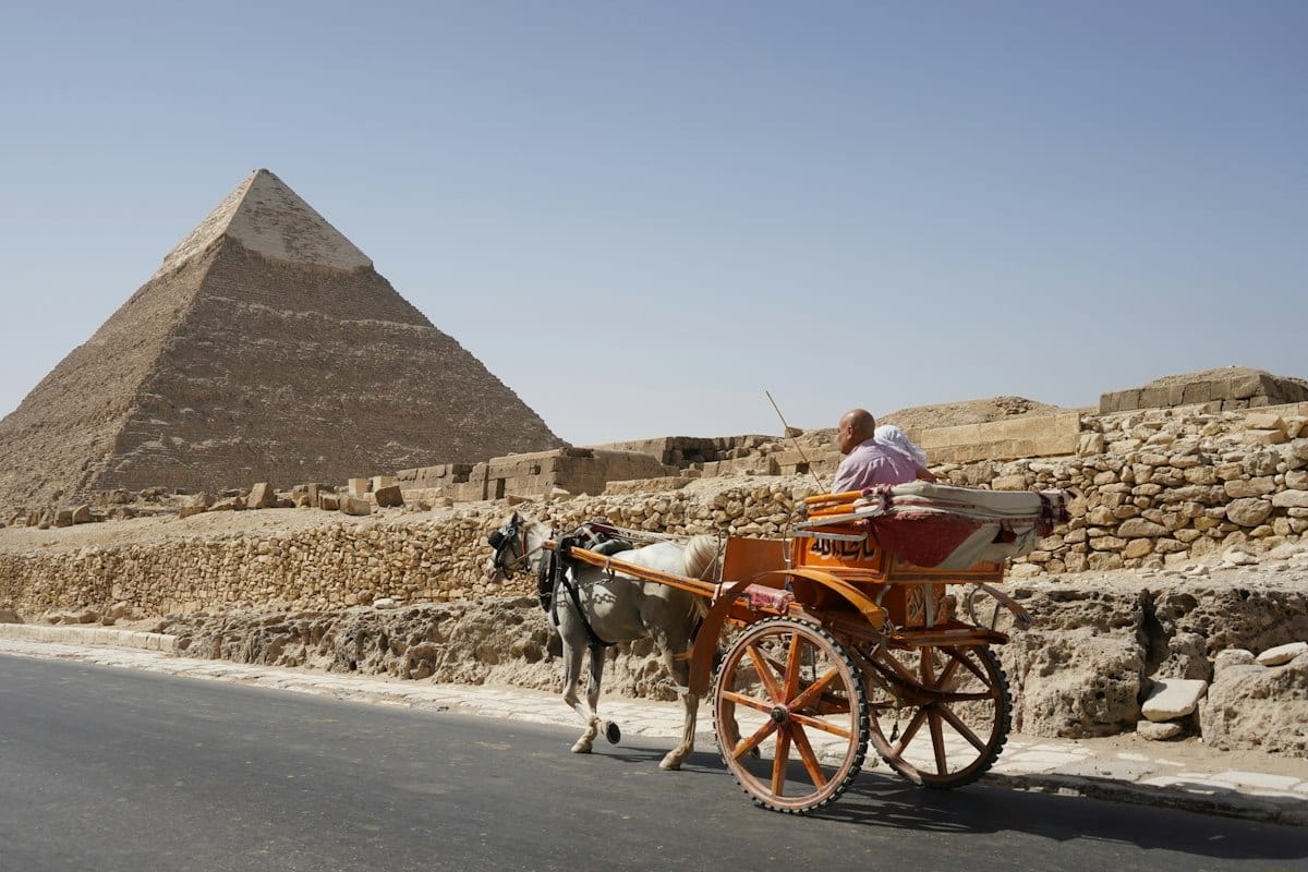 A horse-drawn cart on a road near a pyramid in Giza